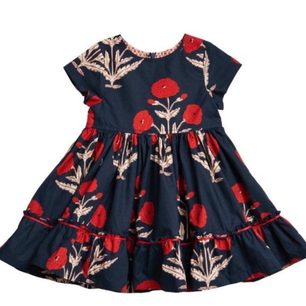 Pink Chicken Niley blue navy red dandelion cotton dress 5